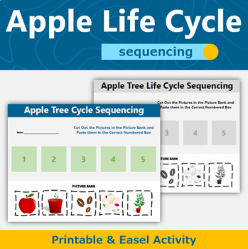 Preview of Apple Tree Life Cycle Science Sequencing Activity
