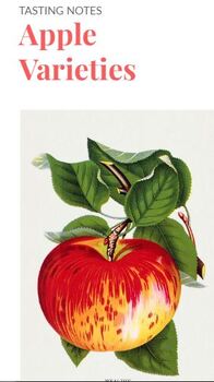 apple varieties poster