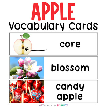 Preview of Apple Vocabulary Cards Word Wall Writing Center, Parts of an Apple, Life Cycle
