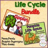 Apples and Pumpkins Life Cycles - Life Cycle Bundle Activi