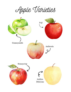 Preview of Apple Nature Study