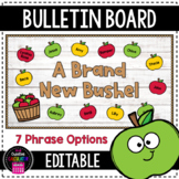 Apples Back to School Bulletin Board Craft - [EDITABLE]