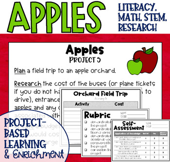 Preview of Apple Themed Makerspace Project Based Learning and Enrichment Task Cards