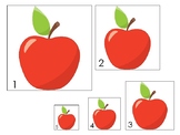 Apples Themed Size Sequence Printable Preschool Educationa