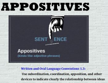 Preview of Appositives Grammar Practice