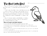 April Fools Activity - The Sloof Lirpa Bird