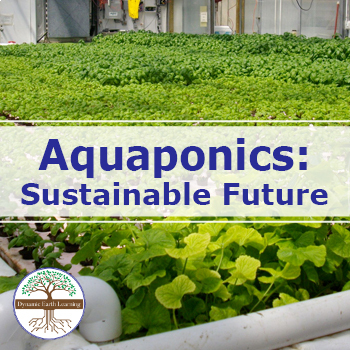 Preview of Aquaponics: Key to a Sustainable Future?  | Video Lesson, Handout, Worksheets