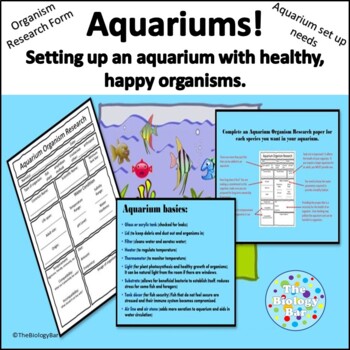 Preview of Aquarium Organism Research and Set Up Marine Science Marine Biology
