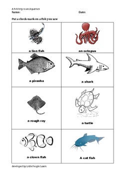 Complete Aquarium Checklist for Beginners