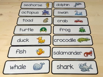 Aquatic Animals: Categorization Graph, Word and Picture Cards by ...