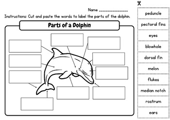 Aquatic Biome-Marine: Label the Parts of Dolphin (Level 2), Posters ...