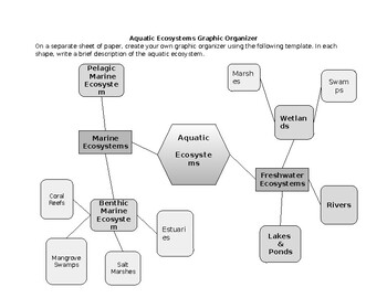 Preview of Aquatic Ecosystems Graphic Organizer