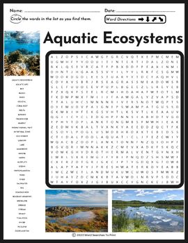 Aquatic Ecosystems Word Search Puzzle by Word Searches To Print | TPT