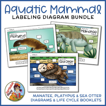 Preview of Aquatic Mammal Bundle - Manatee, Platypus, Sea Otter Diagrams & Life Cycle Books