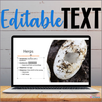 Aquatic Reptiles and Amphibians Slide Show | Editable by EasyFunScience