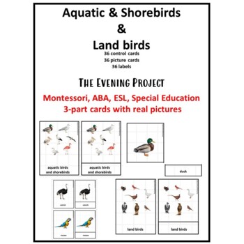 Preview of Aquatic & Shorebirds & Land birds 3 parts cards Montessori/ABA/SP.ED real photos