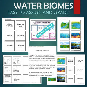Preview of Aquatic Water (estuary, wetland) Biomes Habitats Sort & Match STATIONS Activity