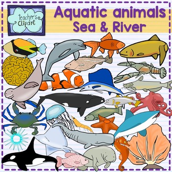 Preview of Aquatic animals (Ocean, Sea and river underwater life) clipart {Science}