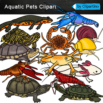 Aquatic my pets clipart-Aquarium freshwater animals clip art NO fish