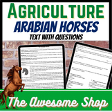 Arabian Horses Informational Text With Worksheet for Agric