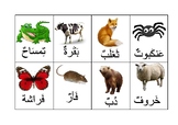 Arabic Animal Flashcards