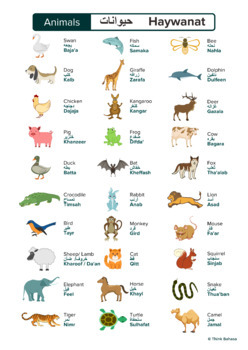 ANIMALS Arabic English vocabulary by Language Forum | TPT