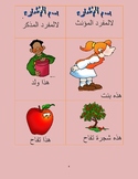 Arabic Demonstrative Pronoun