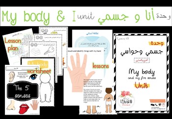 Preview of Arabic\English my body and my five senses