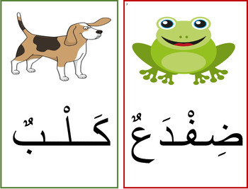 Preview of Arabic Flash Cards: Animals  - 40 Flash Cards -