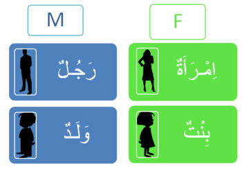 Preview of Arabic Nouns ( Masculine, Feminine)