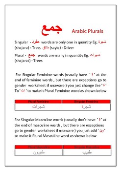 Arabic Plurals by teachself | Teachers Pay Teachers