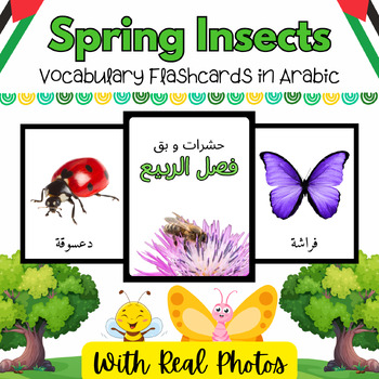 Preview of Arabic Spring Insects & Bugs Real Pictures Flash Cards for Kids - 20 Printables