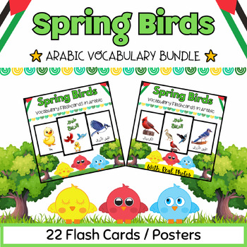 Preview of Arabic Spring Sky Birds Flash Cards BUNDLE for PreK-Kindergarten-22 Printables
