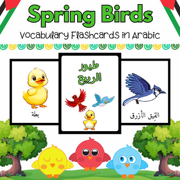 Preview of Arabic Spring Sky Birds Flash Cards for PreK & Kindergarten Kids - 11 Printables