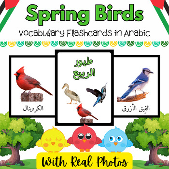 Preview of Arabic Spring Sky Birds Real Picture Flash Cards for PreK & K Kids-11 Printables