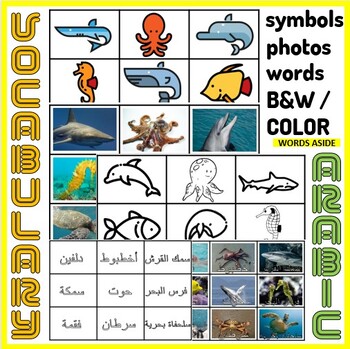 Preview of Arabic Vocabulary Photo Picture Flash Cards Preschool Autism SpEd Sea Animals