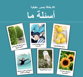 Preview of Arabic What Questions أسئلة ما بصور حقيقية - 80 بطاقة لتعلم أدوات الاستفهام