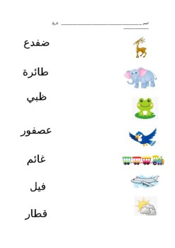 Preview of Arabic Word Match (ض-ق)