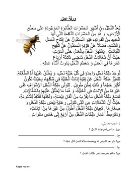Preview of Arabic Worksheet