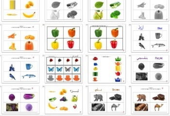 Preview of Arabic colours for beginners - Bilingual - Part 2