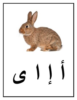 Preview of Arabic letters - bulletin board display حروف اللغة العربيية