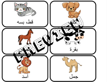 Preview of Arabic Vocabulary Flash Cards