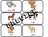 Arabic Vocabulary Flash Cards