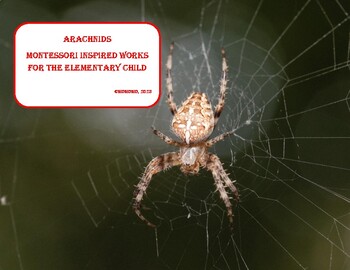 Preview of Arachnids - Montessori inspired cards for elementary (for Halloween ... or not)