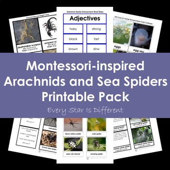 Preview of Arachnids and Sea Spiders Printable Pack