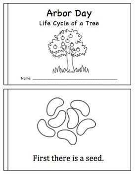 Preview of Arbor Day Mini Book- Life Cycle of a Tree