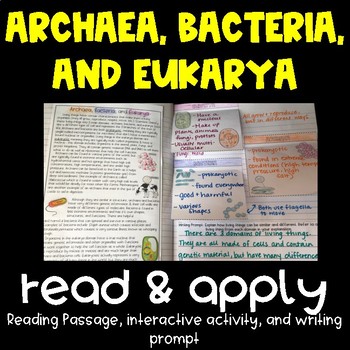 Preview of Archaea, Bacteria, and Eukarya Read and Apply Notebook Activity {NGSS MS-LS1-1}