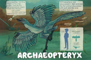 Preview of Archaeopteryx - Dinosaur Poster & Handout