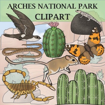 Preview of Arches National Park Clip Art - Plants and Animals of the National Parks