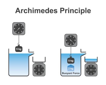Preview of Archimedes Principle. The Buoyant Force Illustration.